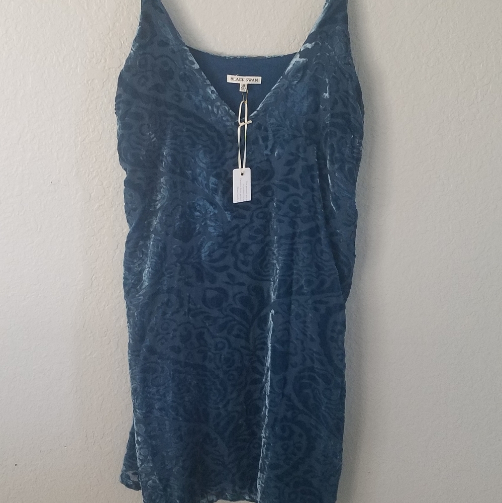 Black Swan velvet dress